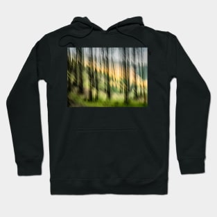 Abstract Forest Scene Hoodie